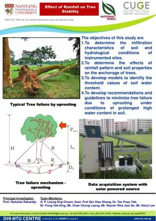 Effect of Rainfall on Tree Stability