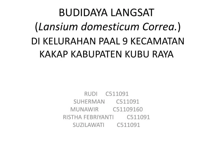 budidaya langsat lansium domesticum correa di kelurahan paal 9 kecamatan kakap kabupaten kubu raya