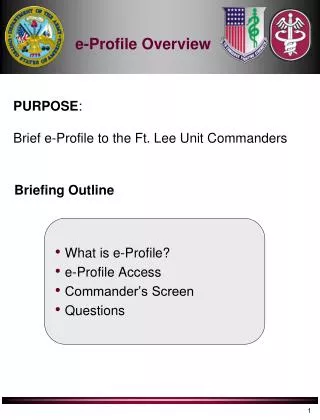 Briefing Outline
