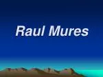 Raul Mures - slide 1