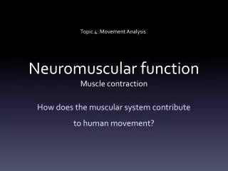 Neuromuscular function Muscle contraction