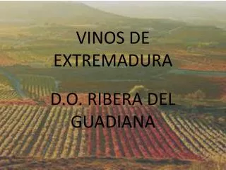 d o ribera del guadiana