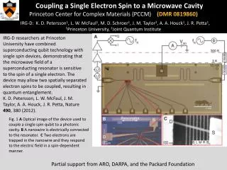 Coupling a Single Electron Spin to a Microwave Cavity
