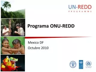programa onu redd