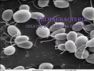 Archaebacteria