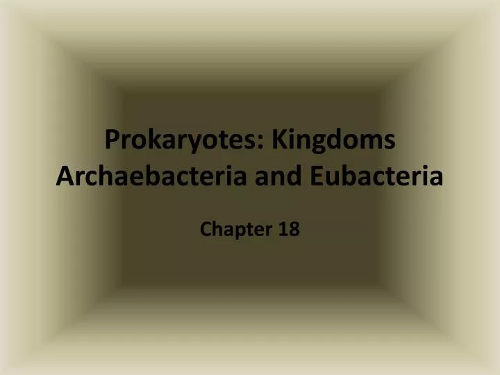 prokaryotes kingdoms archaebacteria and eubacteria