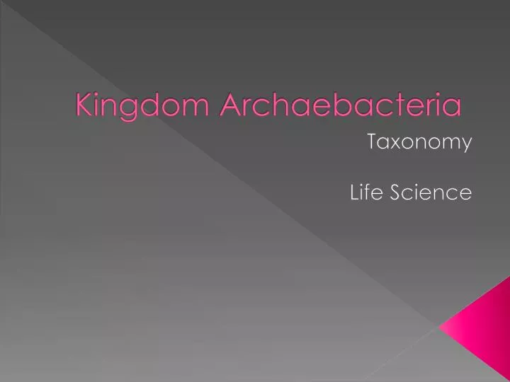 kingdom archaebacteria
