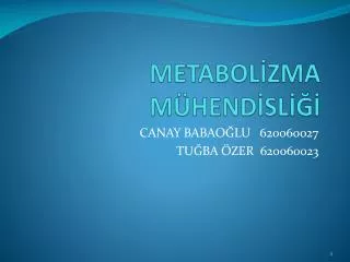 metabol zma m hend sl