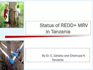 Status of REDD+ MRV in Tanzania