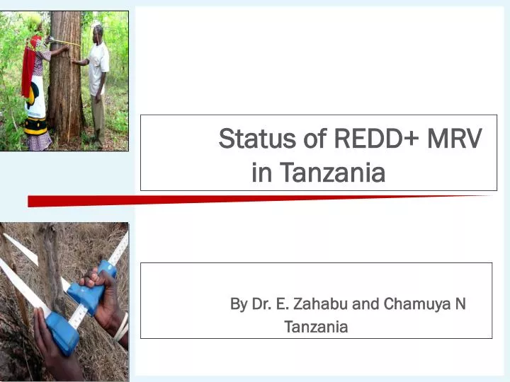 status of redd mrv in tanzania