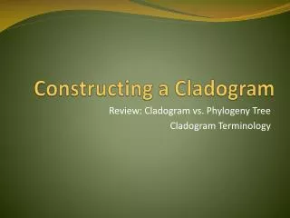 Constructing a Cladogram