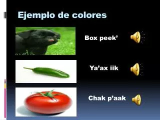 ejemplo de colores