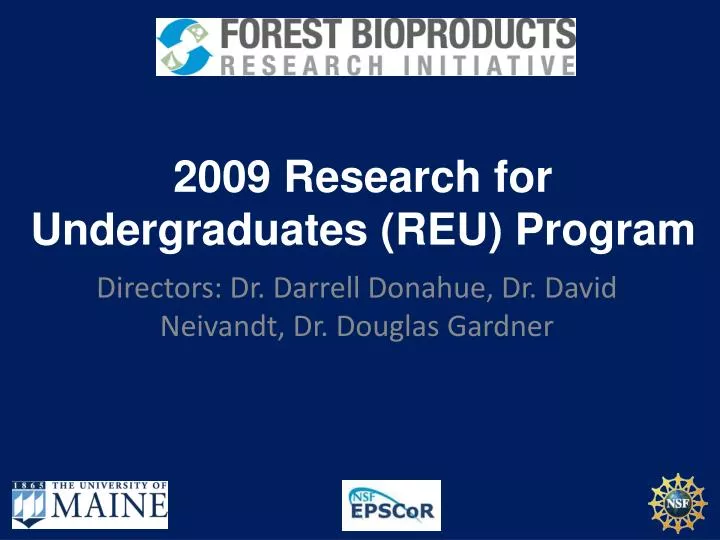 2009 research for undergraduates reu program