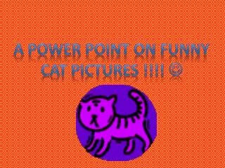 A power point on funny Cat pictures !!!! ?