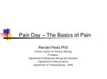 Pain Day – The Basics of Pain