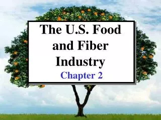 The U.S. Food and Fiber Industry
