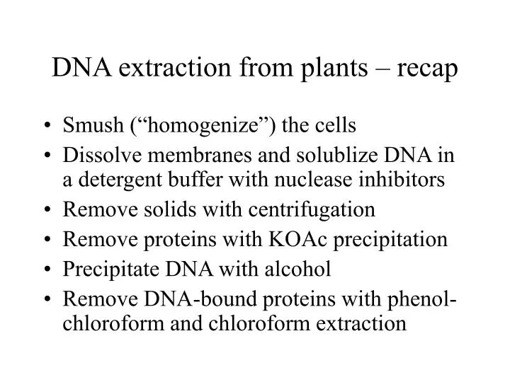 dna extraction from plants recap