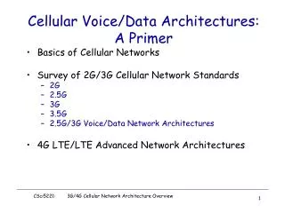 Cellular Voice/Data Architectures: A Primer