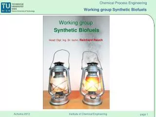 Working group Synthetic Biofuels