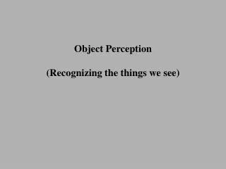 Object Perception (Recognizing the things we see)