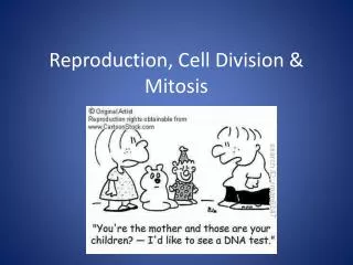 Reproduction, Cell Division &amp; Mitosis