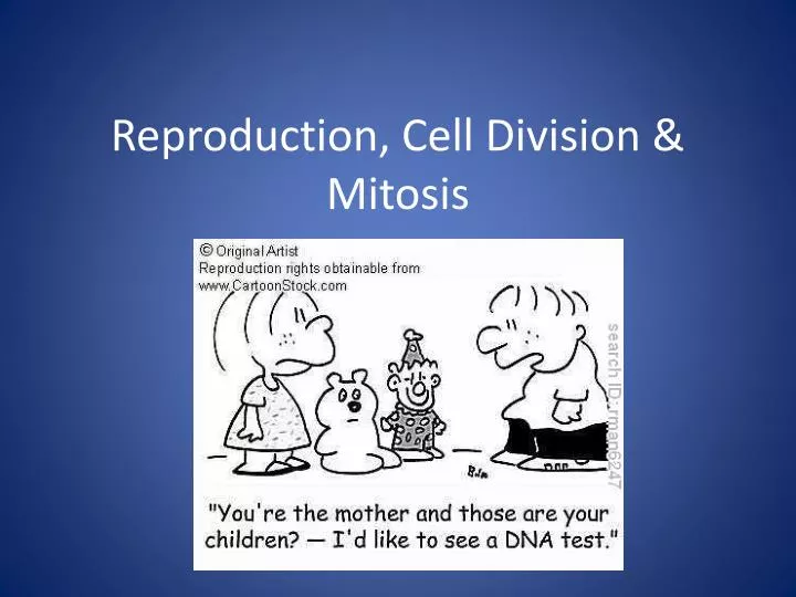 reproduction cell division mitosis
