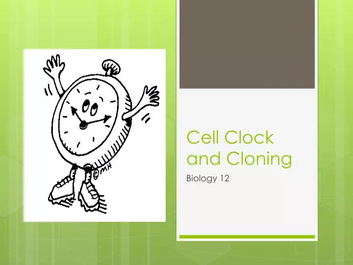 cell clock and cloning