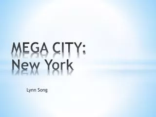 MEGA CITY: New York