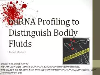 miRNA Profiling to Distinguish Bodily Fluids