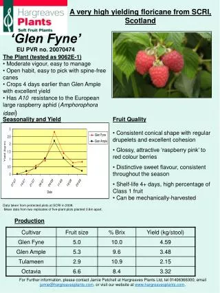 The Plant (tested as 9062E-1) Moderate vigour, easy to manage