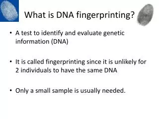 What is DNA fingerprinting?