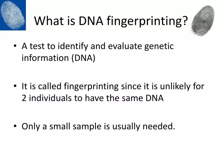what is dna fingerprinting