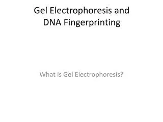 Gel Electrophoresis and DNA Fingerprinting