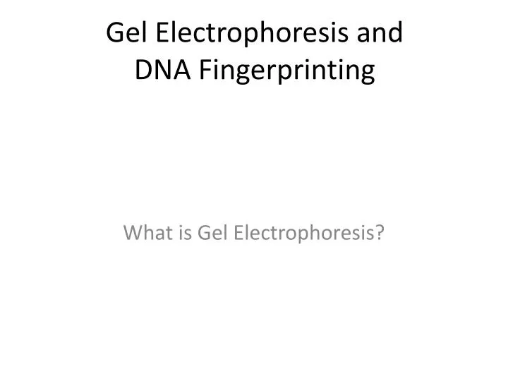 gel electrophoresis and dna fingerprinting