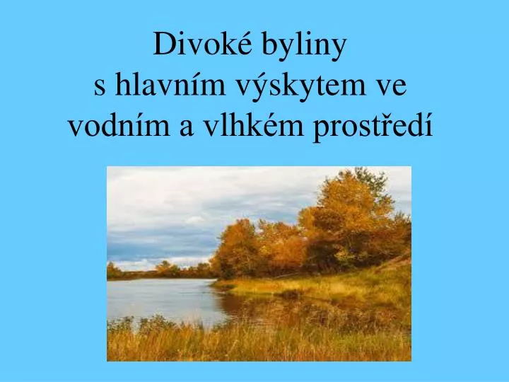 divok byliny s hlavn m v skytem ve vodn m a vlhk m prost ed