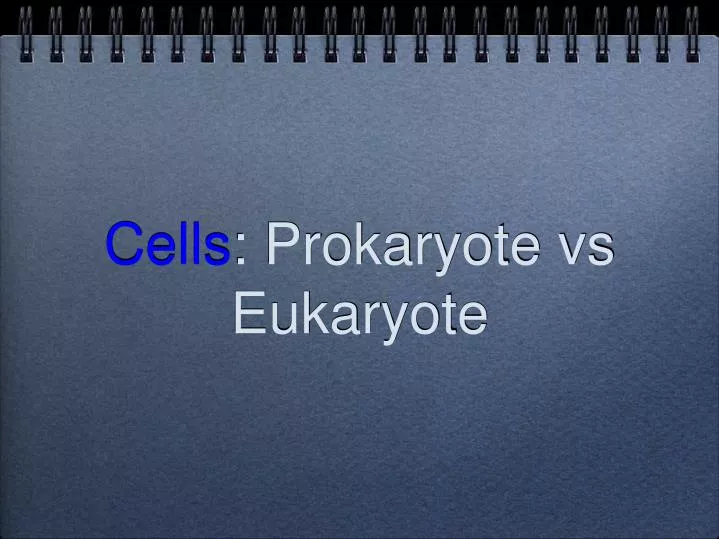 cells prokaryote vs eukaryote