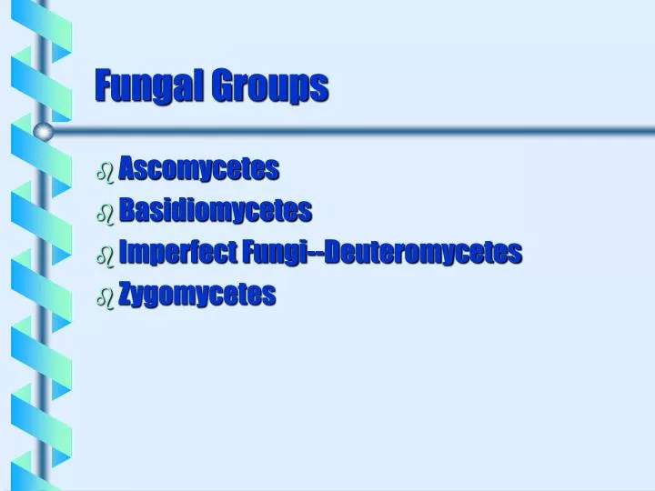 fungal groups