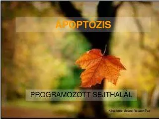 apopt zis