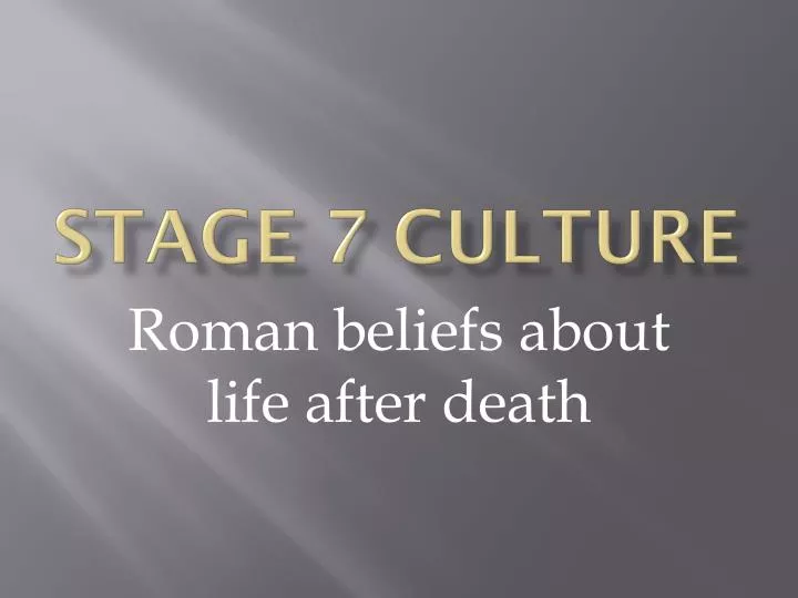 stage 7 culture