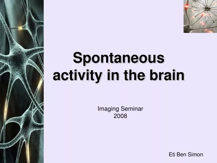 spontaneous activity in the brain