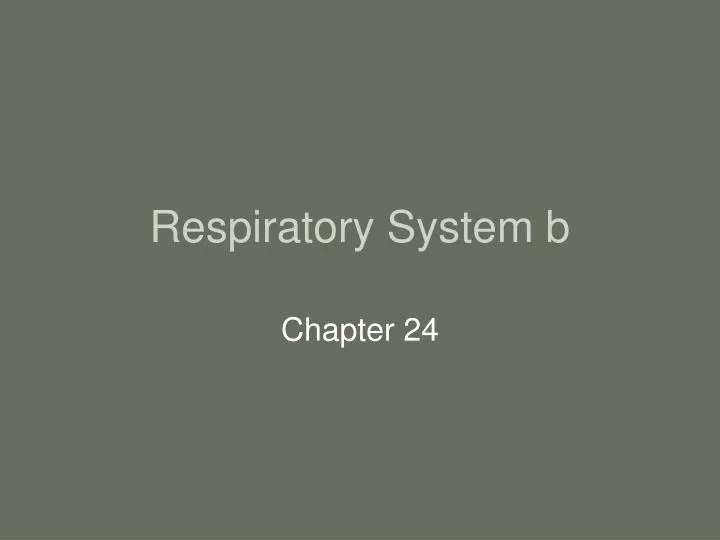 respiratory system b