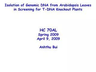 Isolation of Genomic DNA from Arabidopsis Leaves in Screening for T-DNA Knockout Plants