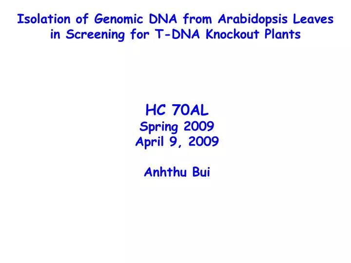 isolation of genomic dna from arabidopsis leaves in screening for t dna knockout plants