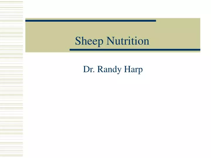 sheep nutrition