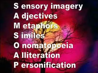 S ensory imagery A djectives M etaphors S imiles O nomatopoeia A lliteration P ersonification