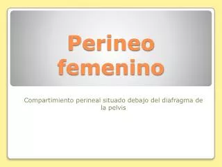 perineo femenino