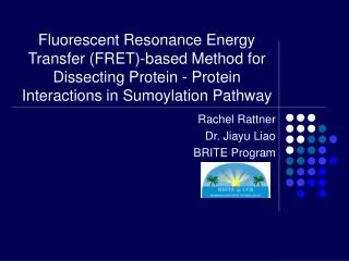 Rachel Rattner Dr. Jiayu Liao BRITE Program