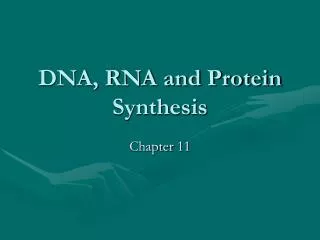 dna rna and protein synthesis