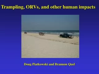 Trampling, ORVs, and other human impacts