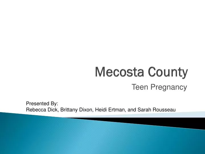 mecosta county